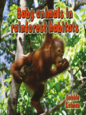 cover image of Baby animals in rainforest habitats